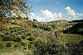 La piana  di Messar la pi bella di Creta.